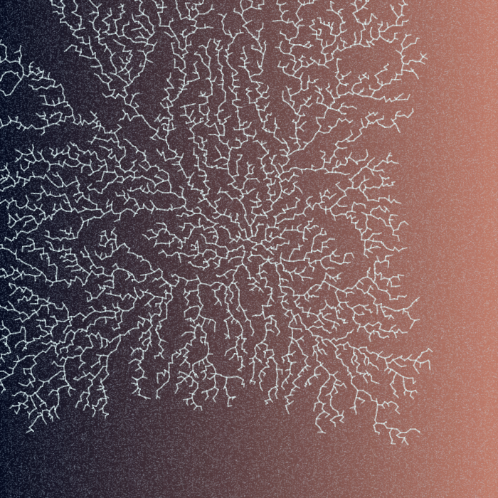 Frozen Windows #16 static token preview