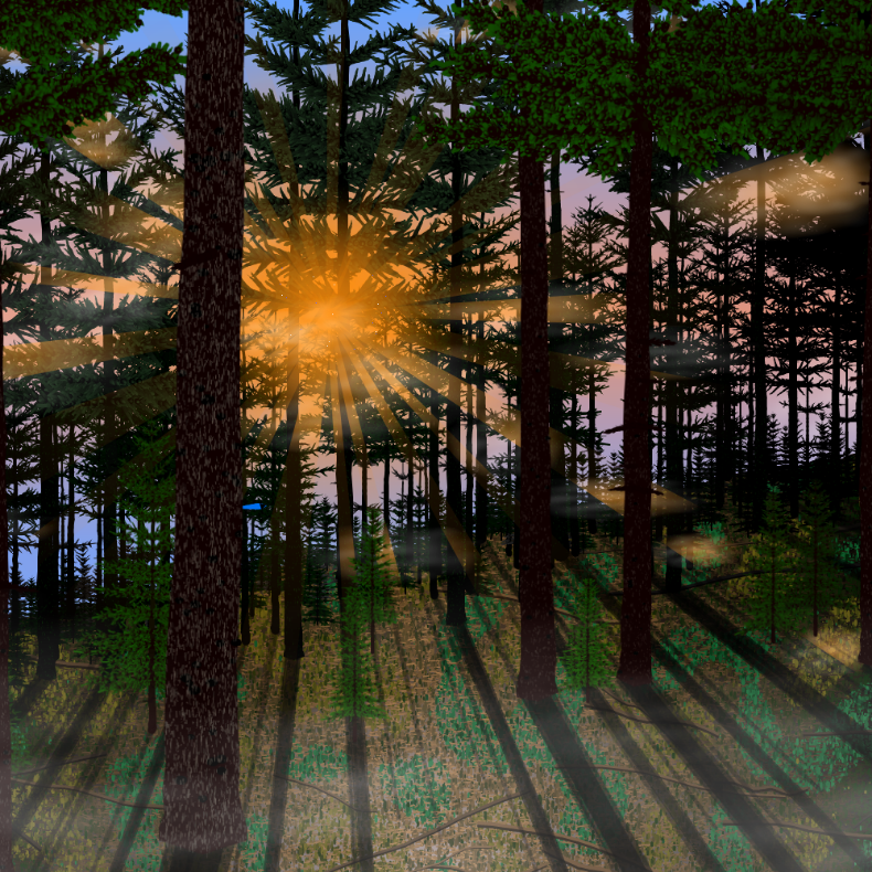 Forest Sunrise #24 static token preview