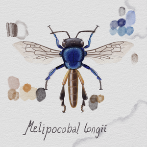 Randomic Brazilian Bees project preview