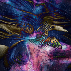 night sky project preview