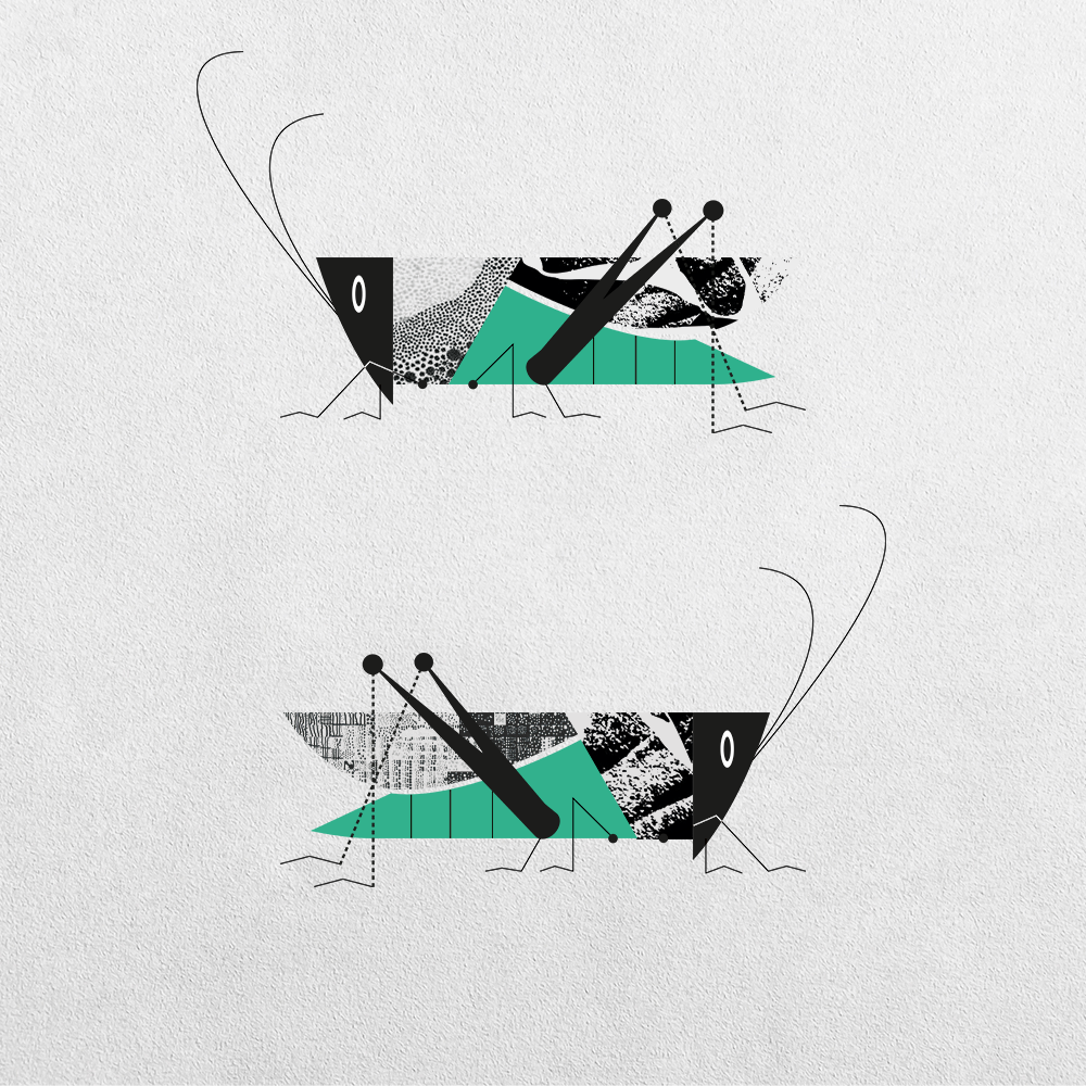 Grasshopper Abstraction #5 static token preview