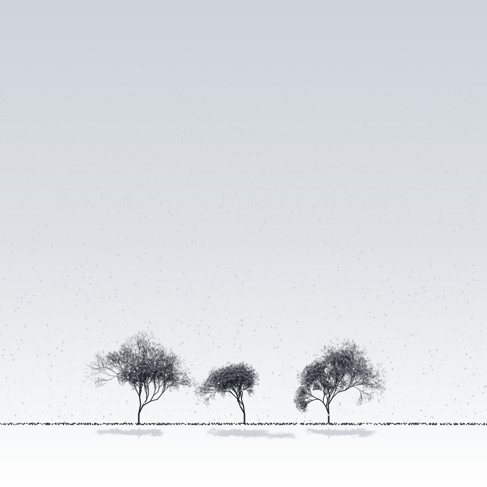 Sakuras in the snow #23 static token preview