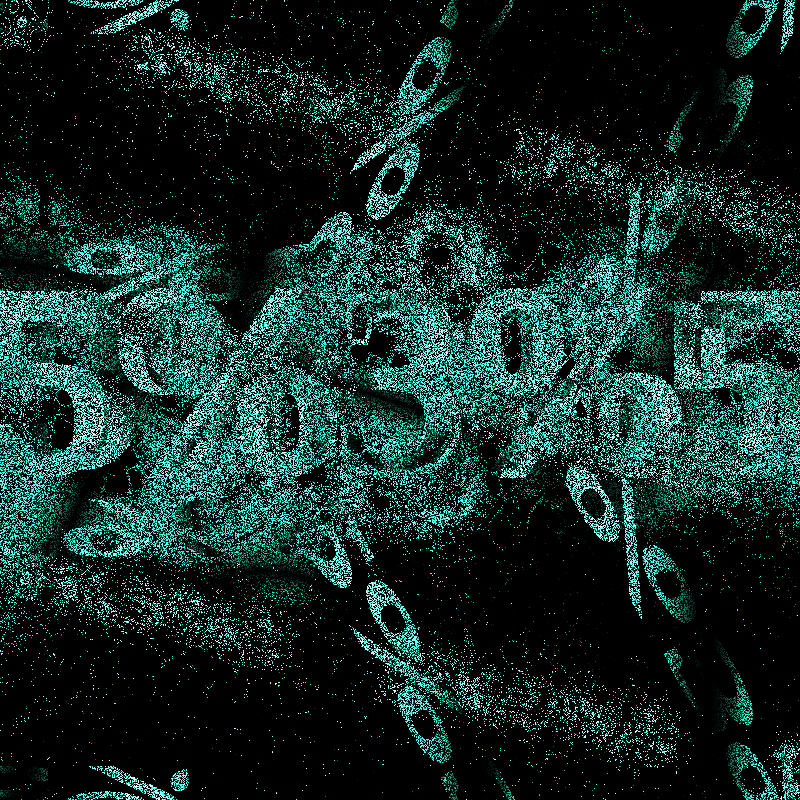 esse #12 static token preview