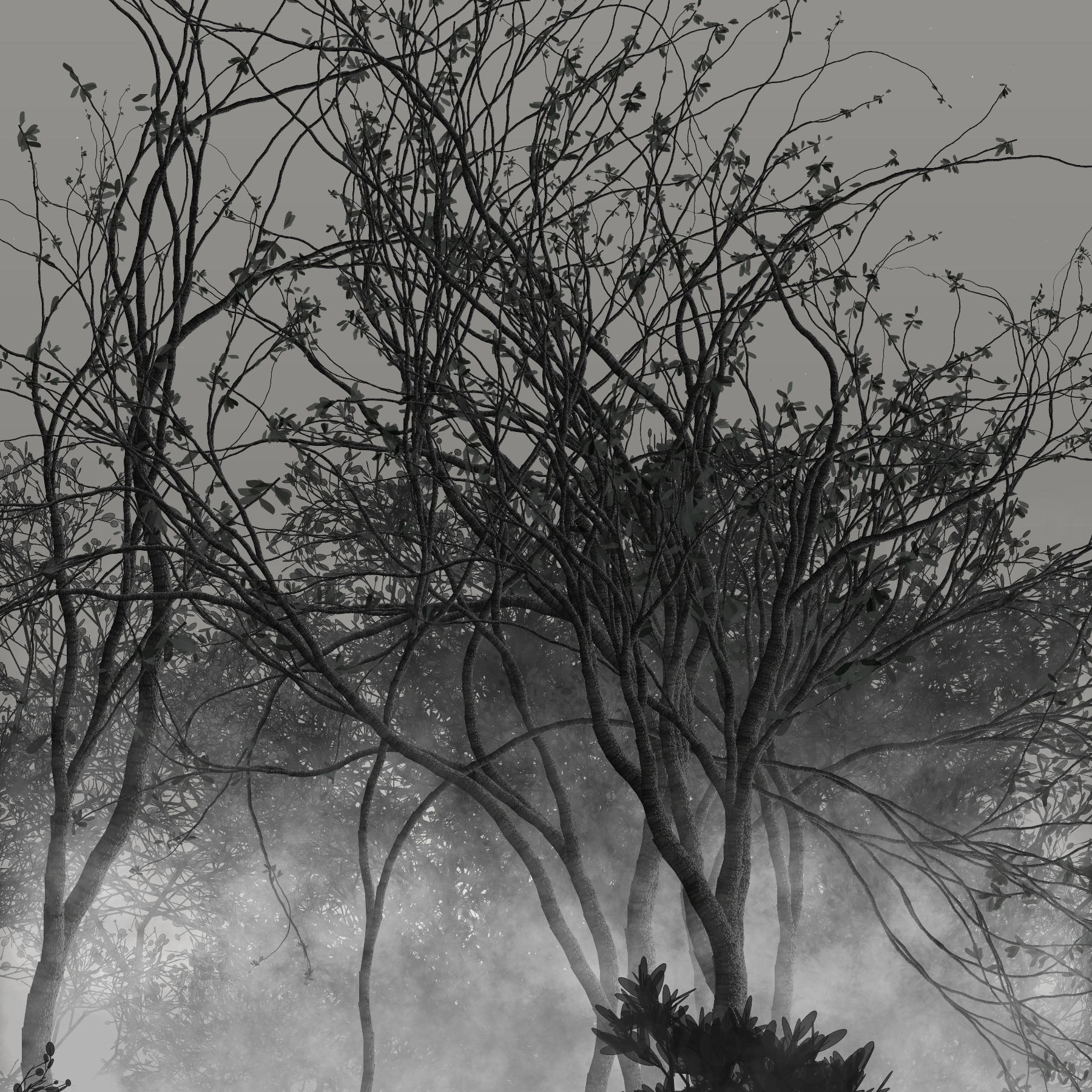 Morning Mist #11 static token preview