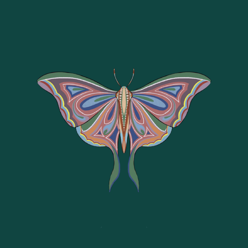 The Moth Experiment 2.0 P2 #12 static token preview