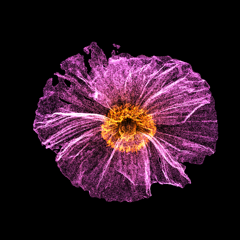 White Poppy 30 #3 static token preview
