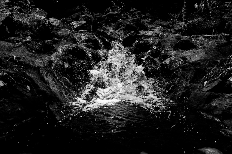chasing waterfalls #15 static token preview
