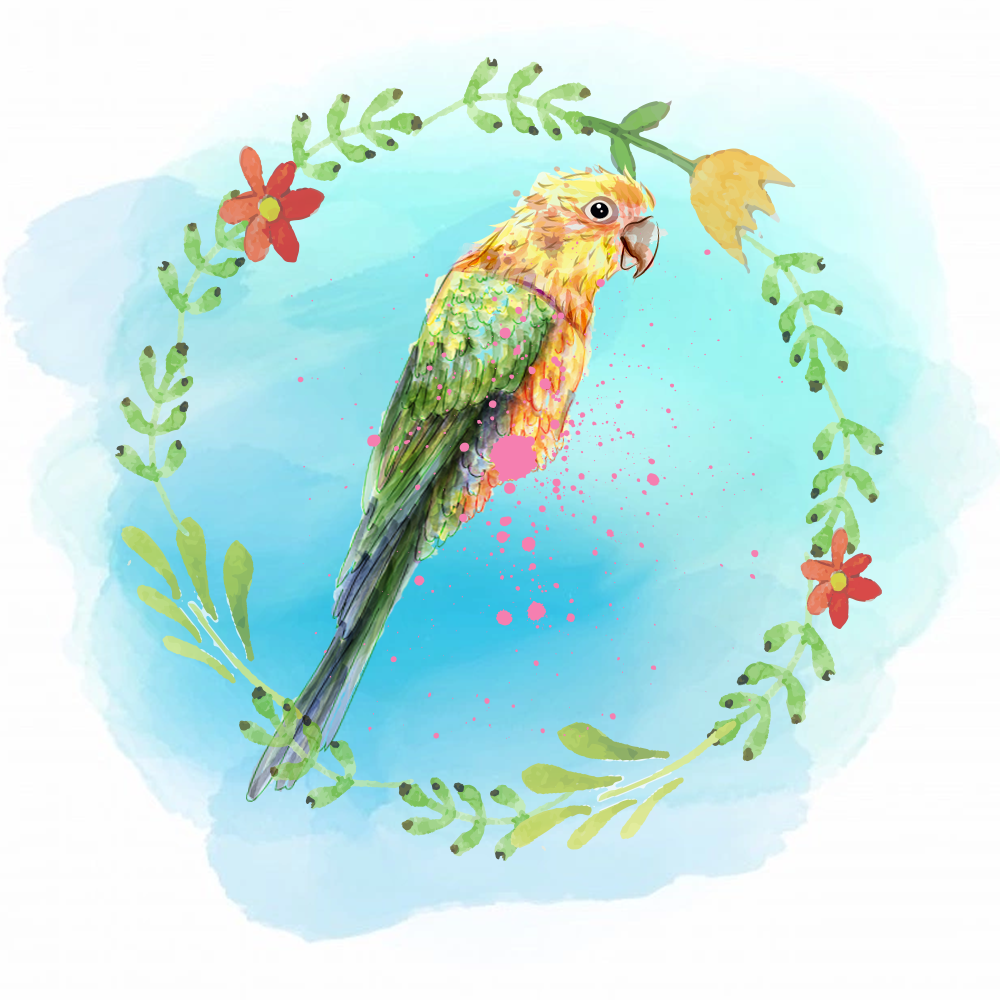 Random Tropical Birds #1 static token preview