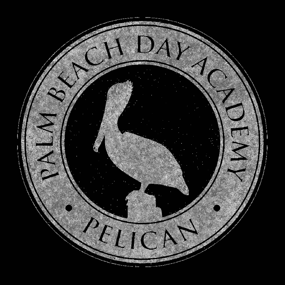PBDA Generative Pelican / Flamingo #17 static token preview