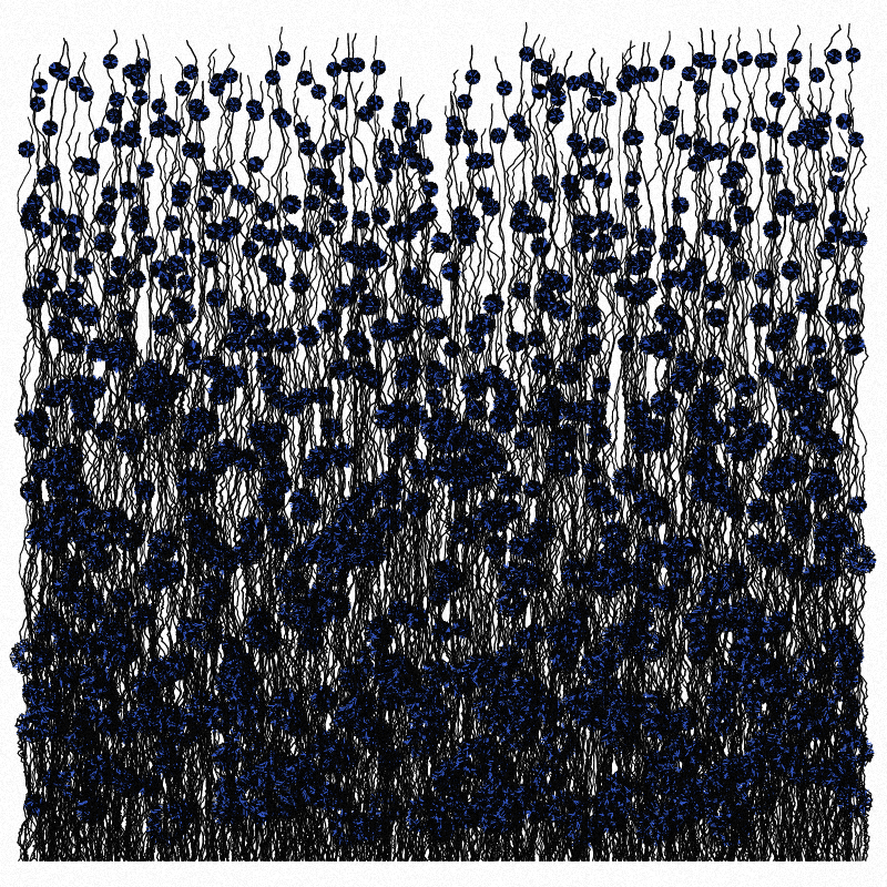 Cornflowers #16 static token preview