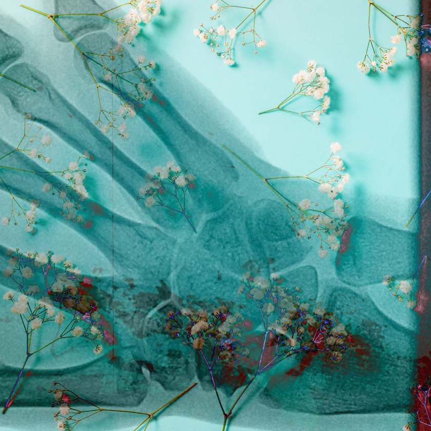 flowers and death #11 static token preview
