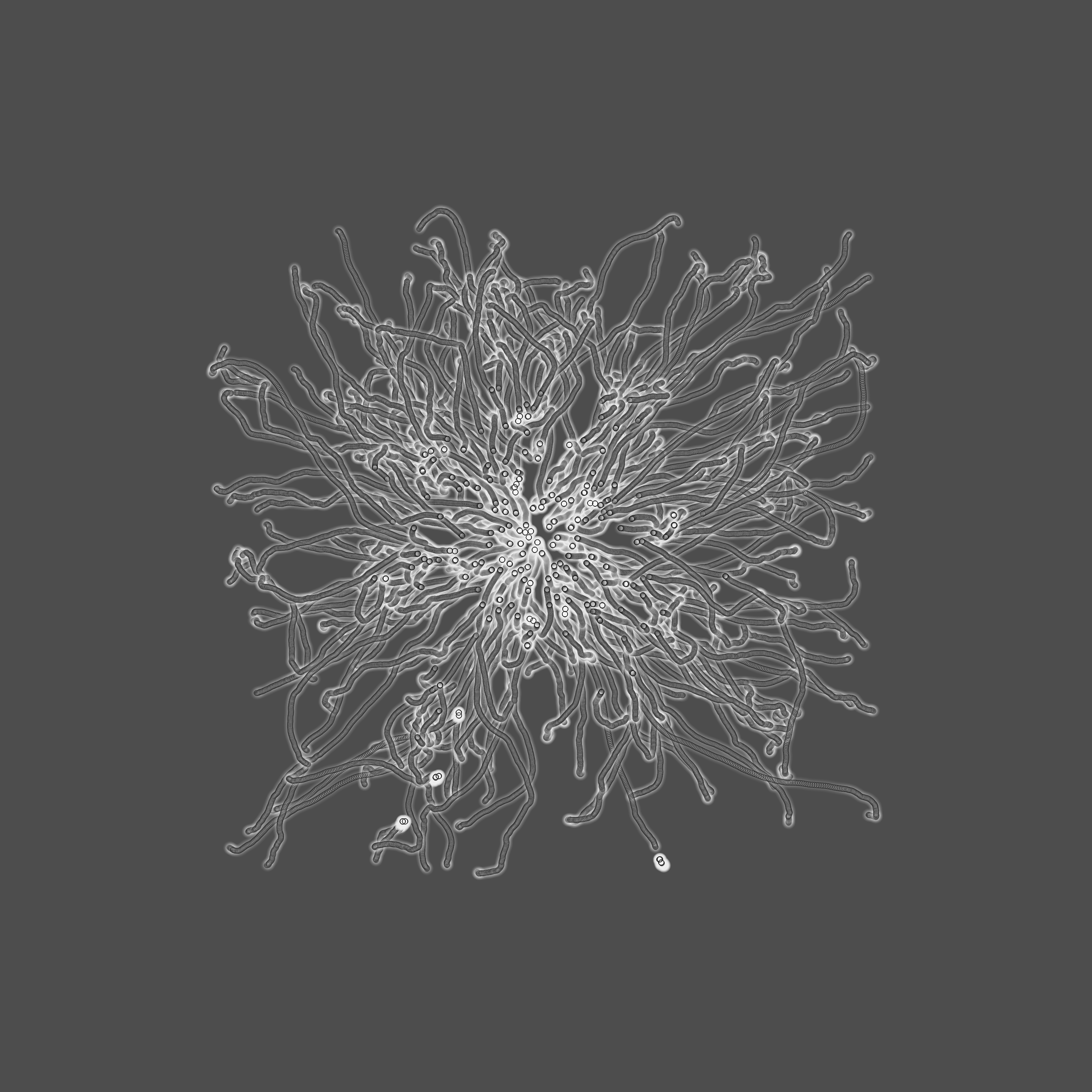 grey fungi wisdom #16 static token preview
