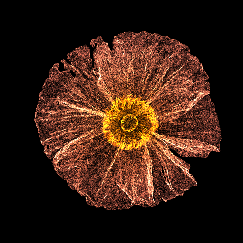 White Poppy 30 #16 static token preview
