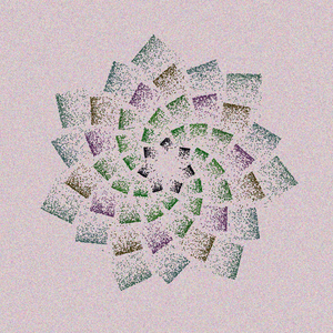 winded roses project preview