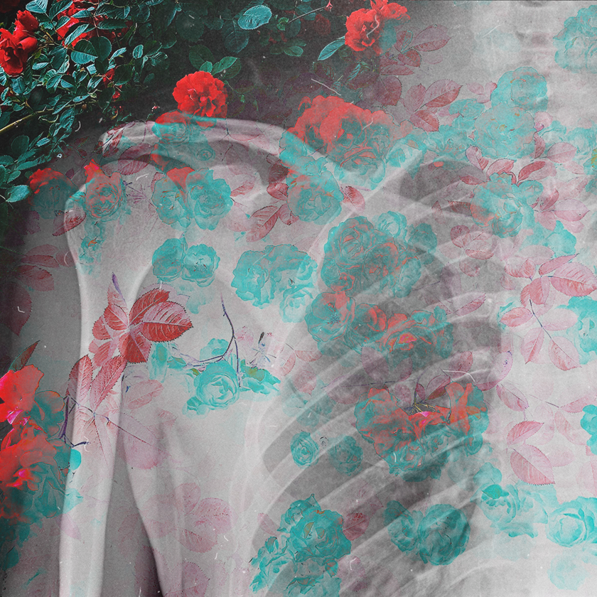 flowers and death #24 static token preview