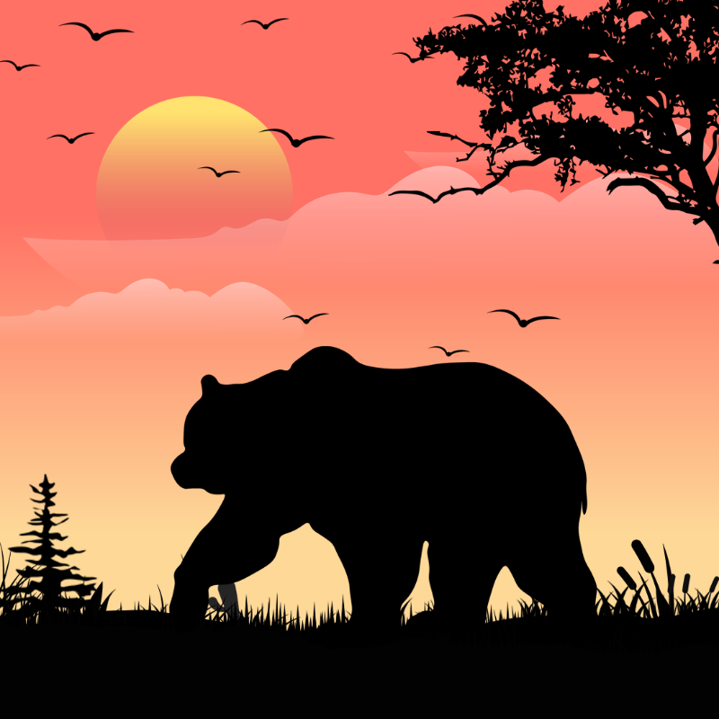 We Care...Bear #1 static token preview