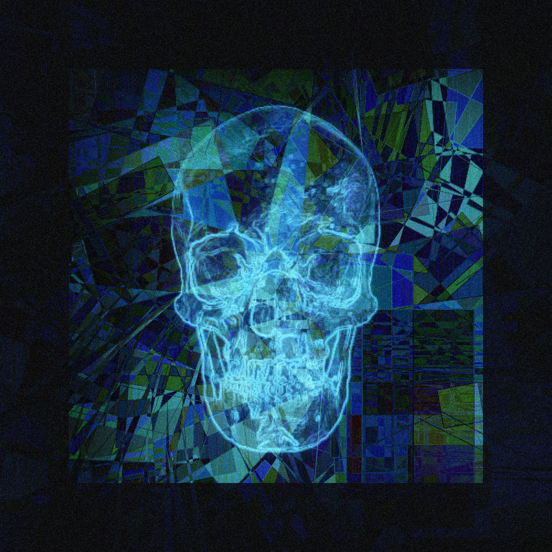 X-ray of a skull #6 static token preview