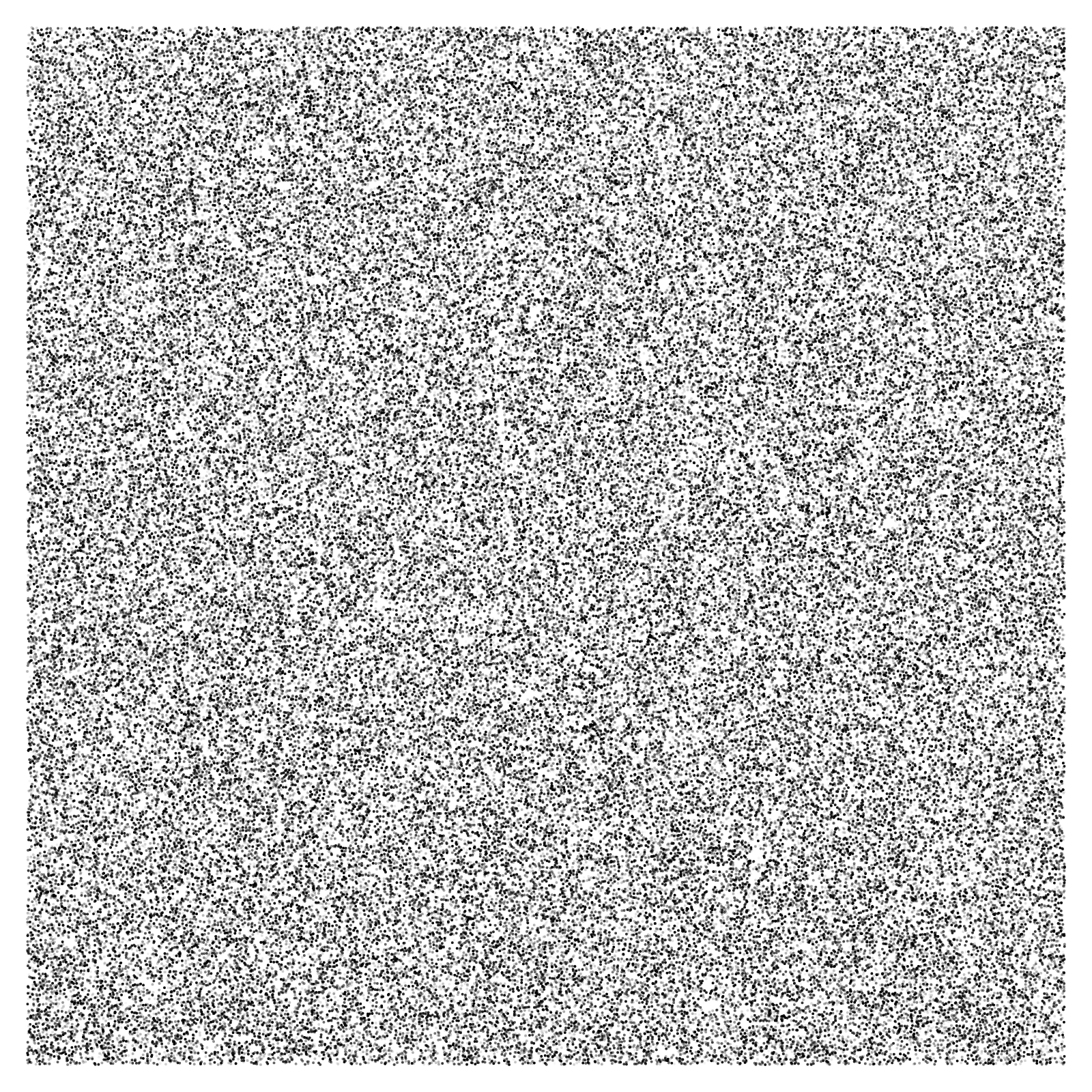 Noise #12 static token preview
