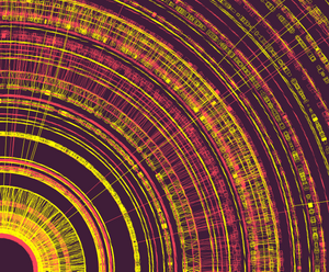SpiralGrid project preview