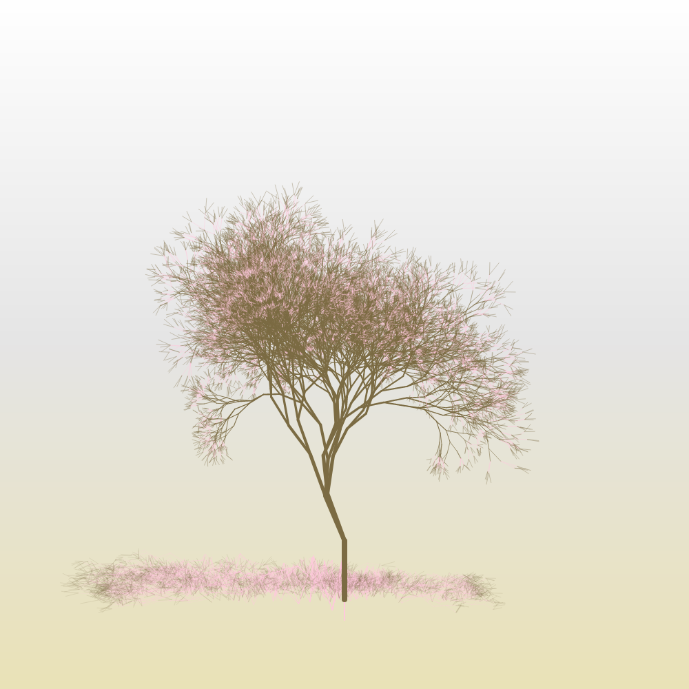 Hanami #7 static token preview