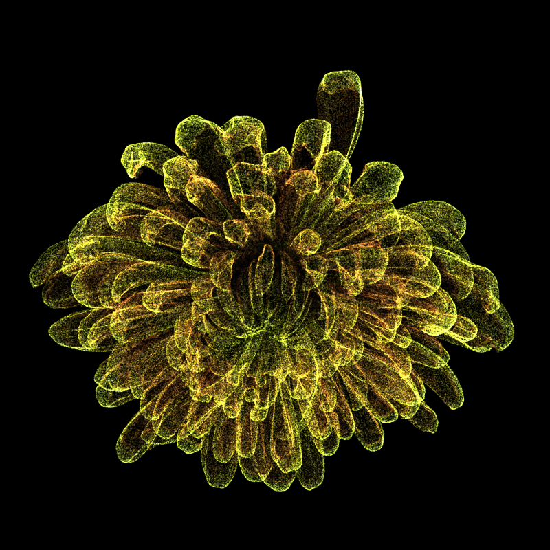 Chrysanthemum Morifolium 30 #59 static token preview