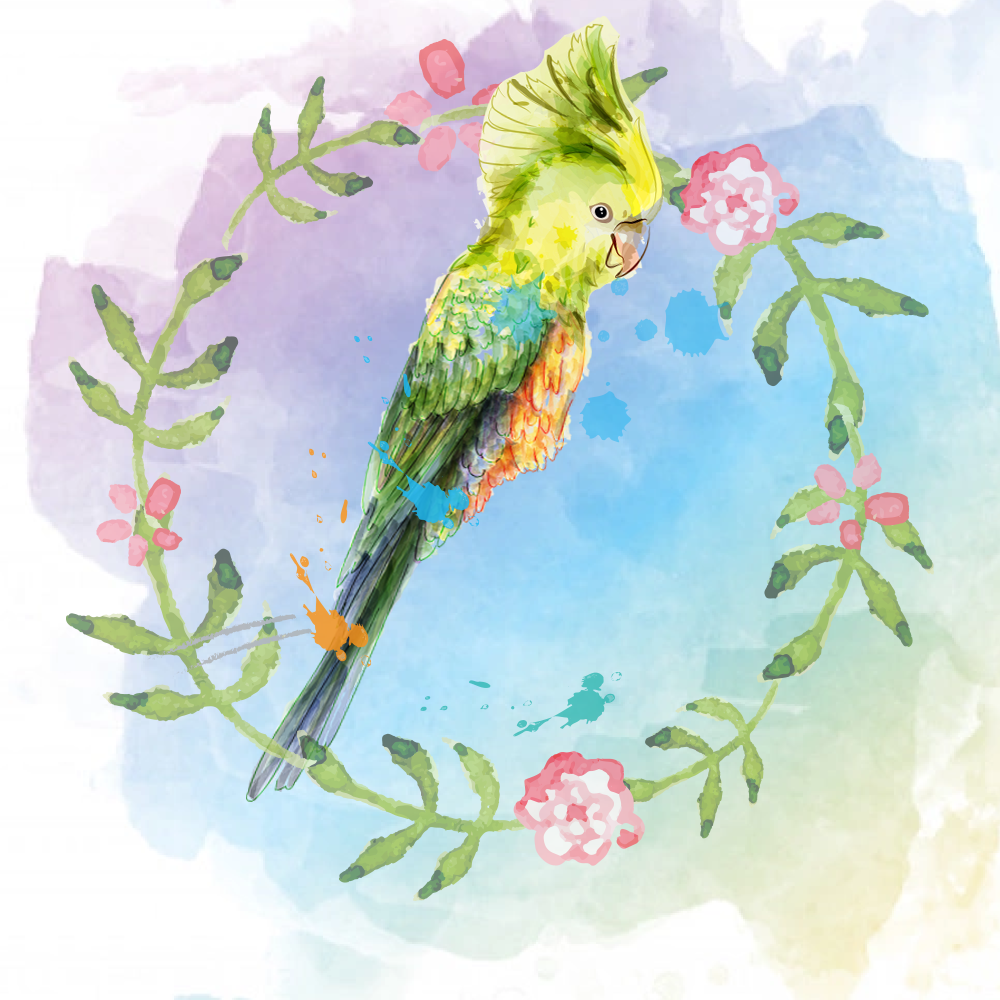 Random Tropical Birds #13 static token preview