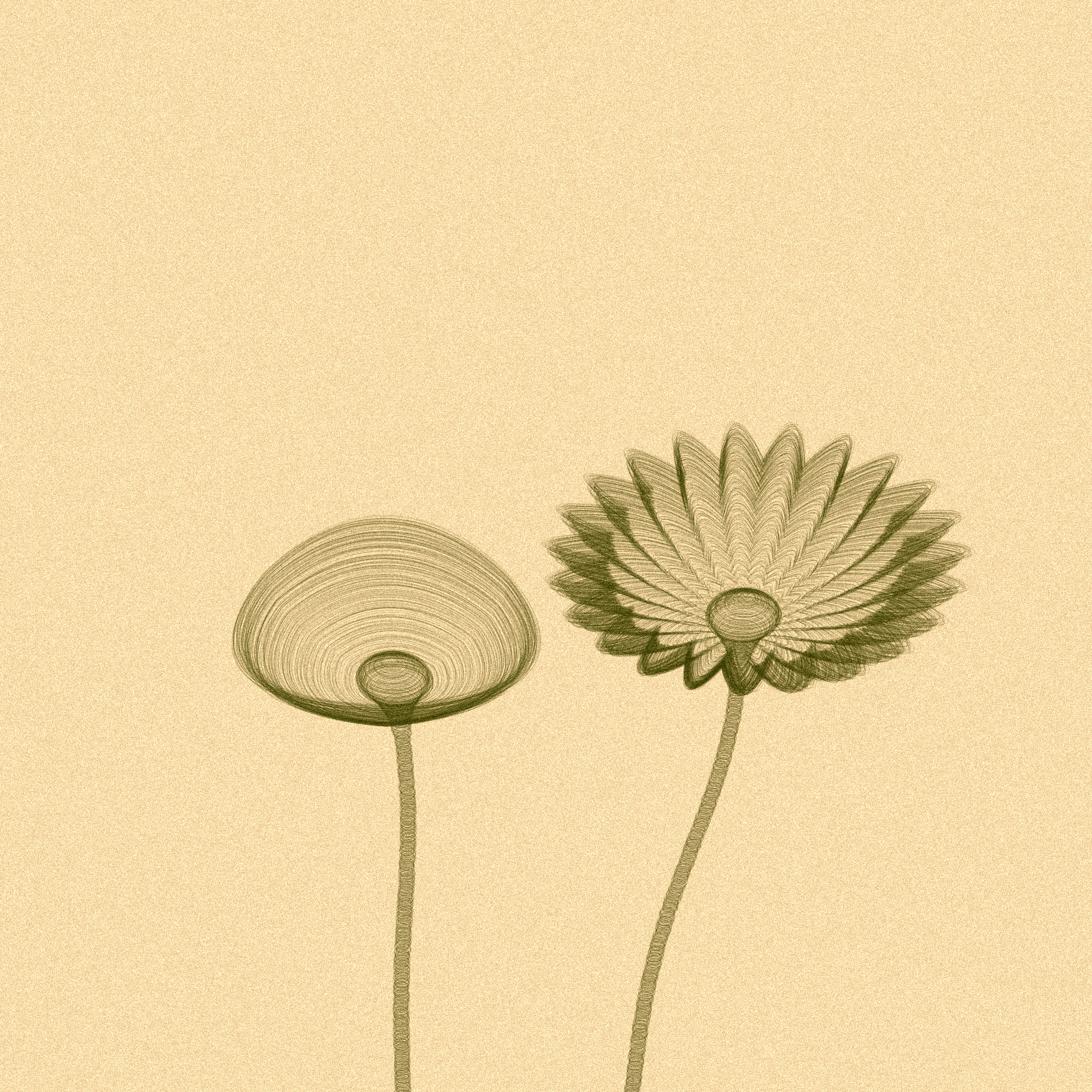 Code Flowers #24 static token preview