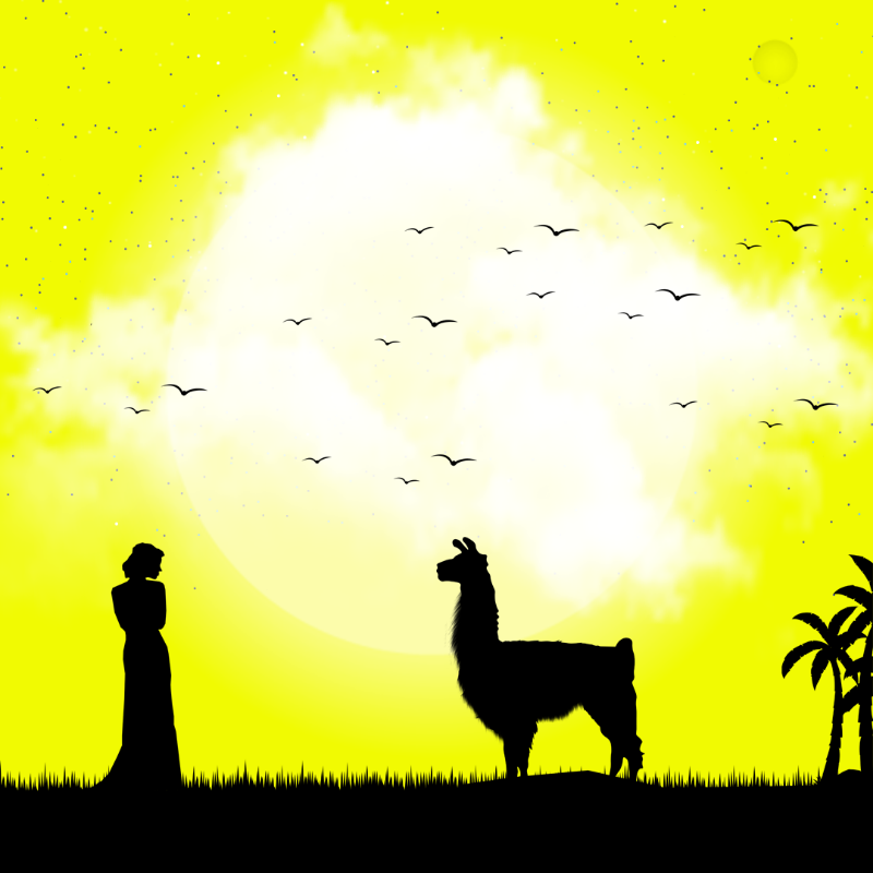 We Care...Llama #5 static token preview