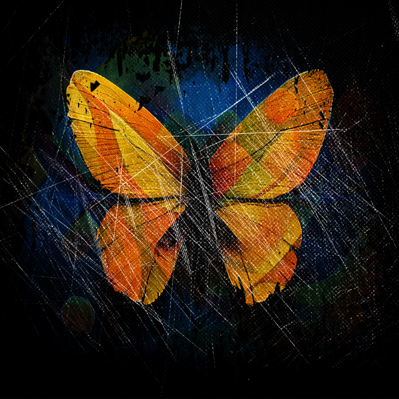 AI Butterfly #3 static token preview