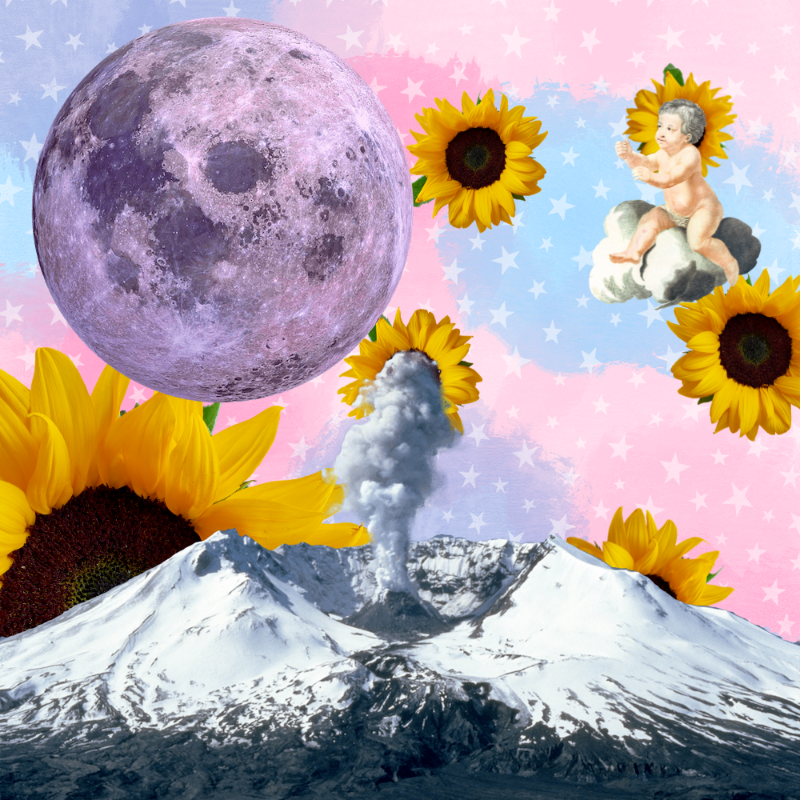 Pink Moon #12 static token preview