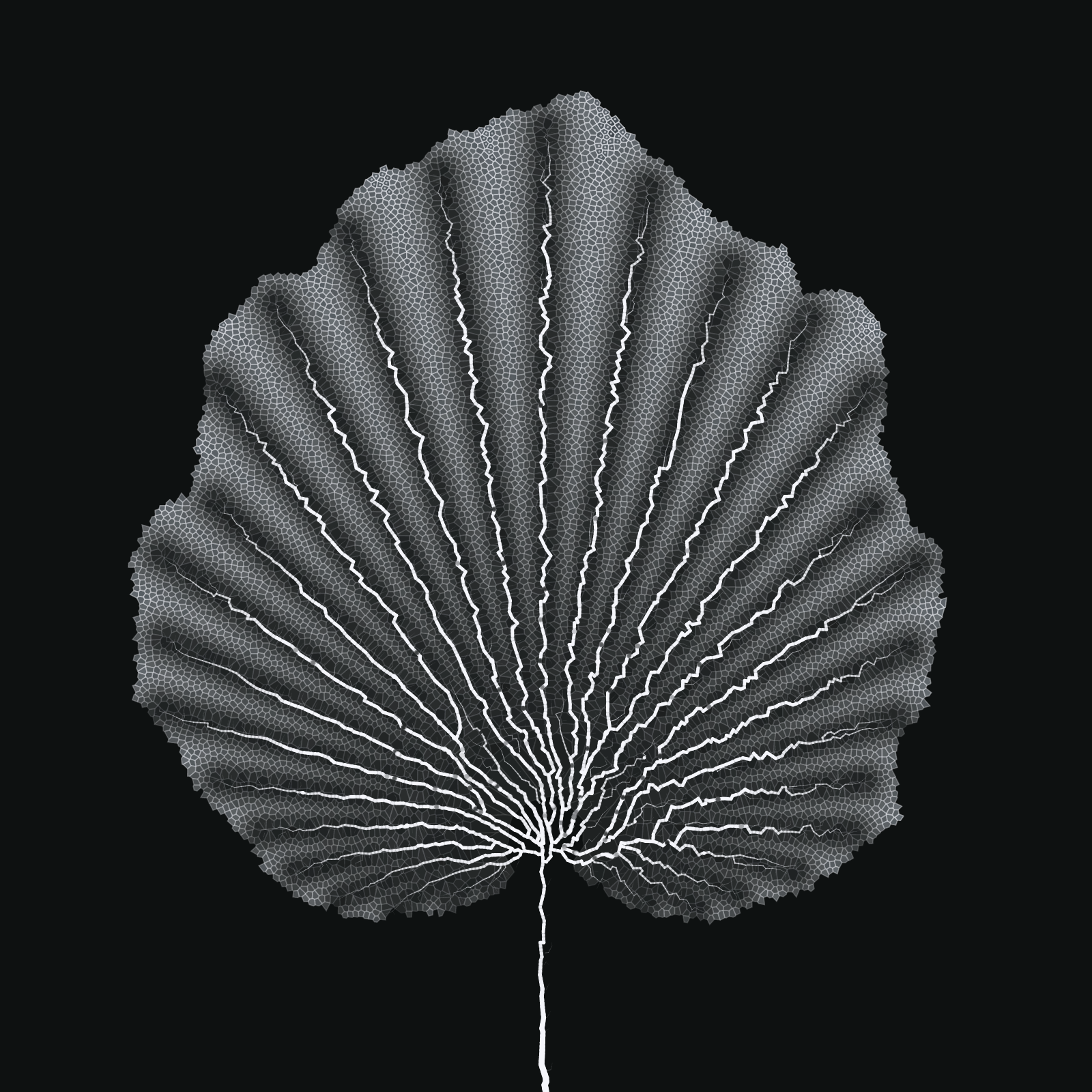 Leaf study #22 static token preview