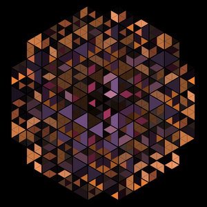 a not-so-binary world project preview