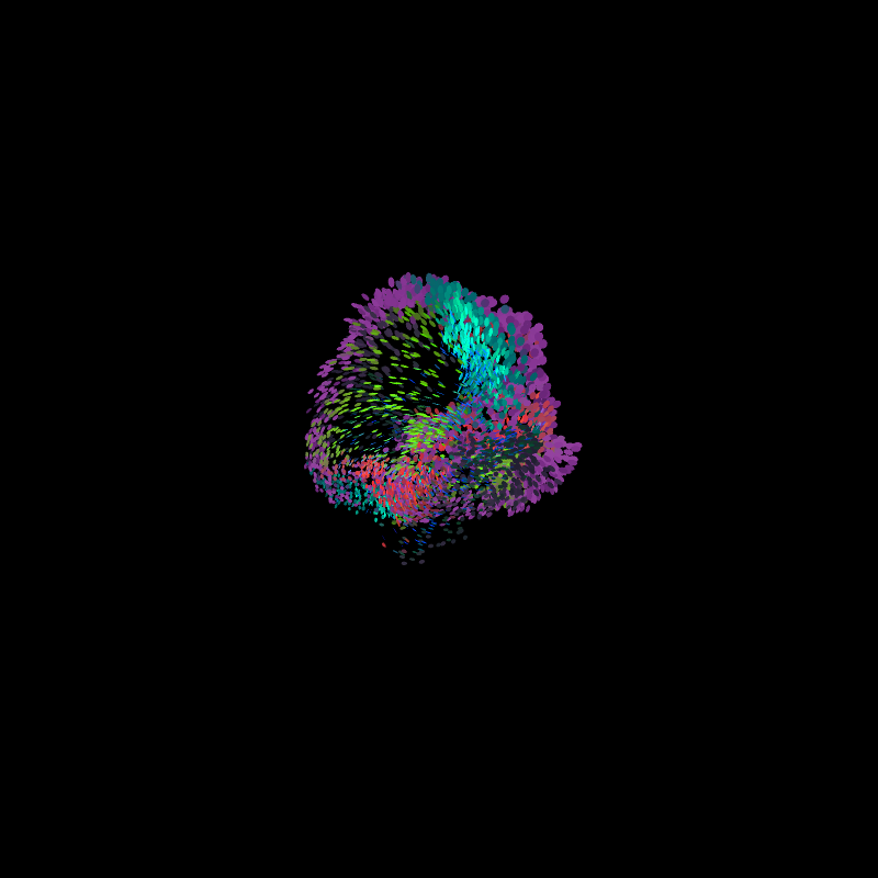 Murmuration #55 static token preview