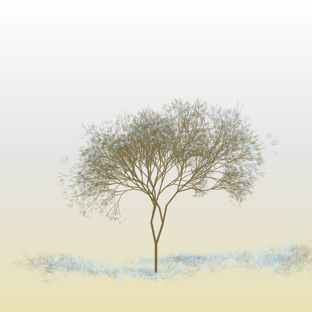 Hanami #18 static token preview