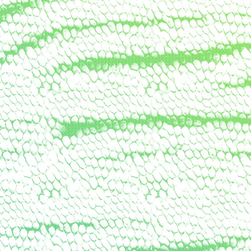What Is Texture #21 static token preview