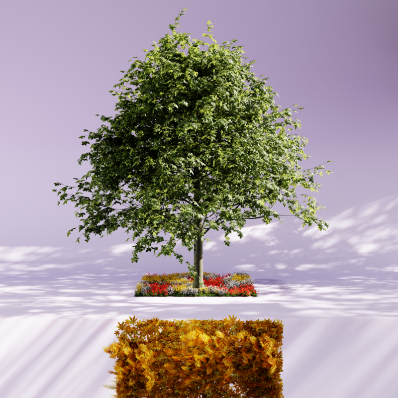 Nature rooms #8 static token preview