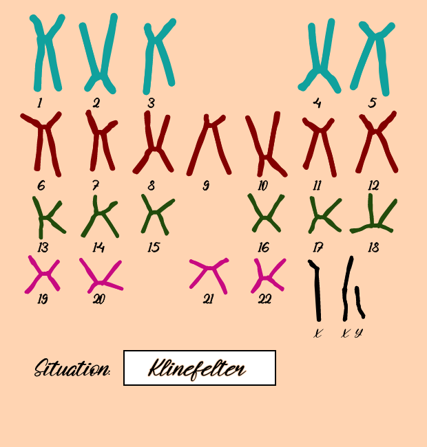 "Karyotype" #6 static token preview