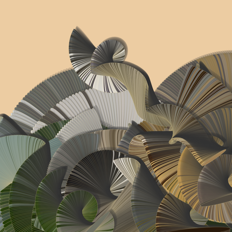 Seashells #3 static token preview
