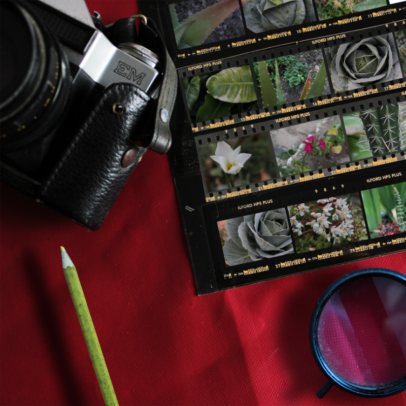 Contact Sheet #11 static token preview