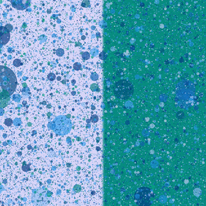 Splotches project preview