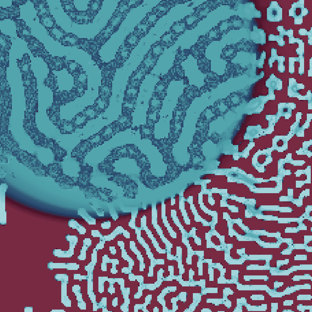 cellular_collage #3 static token preview