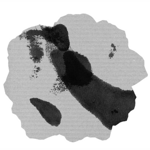 IMPRINT project preview