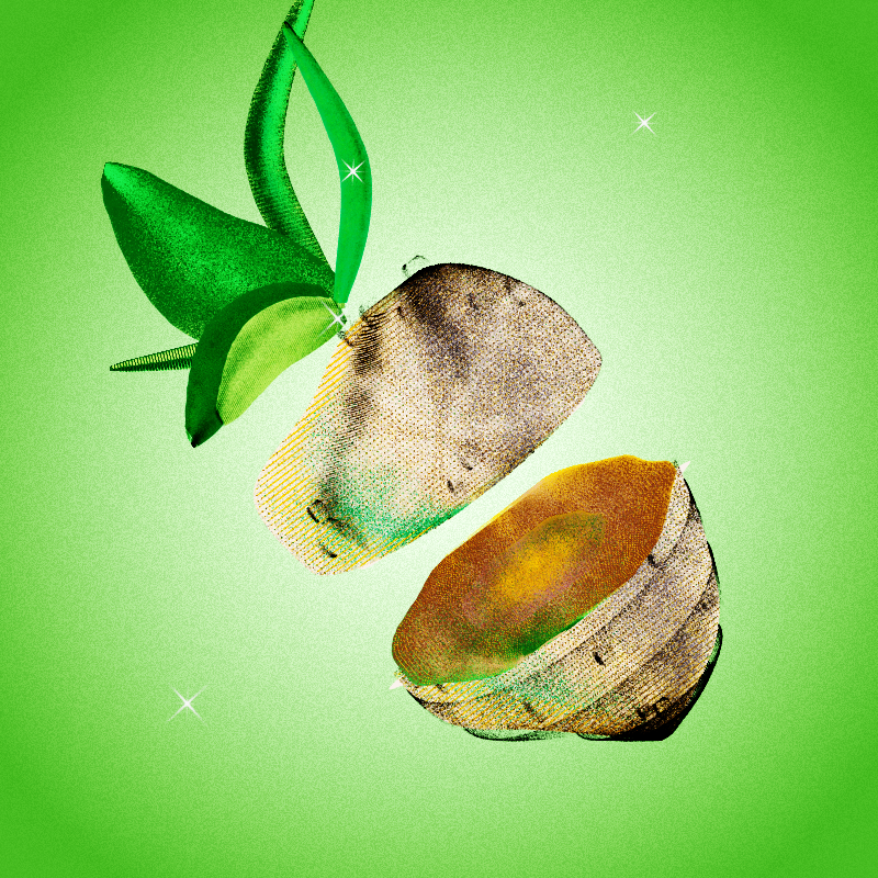 Fresh Fruit #10 static token preview