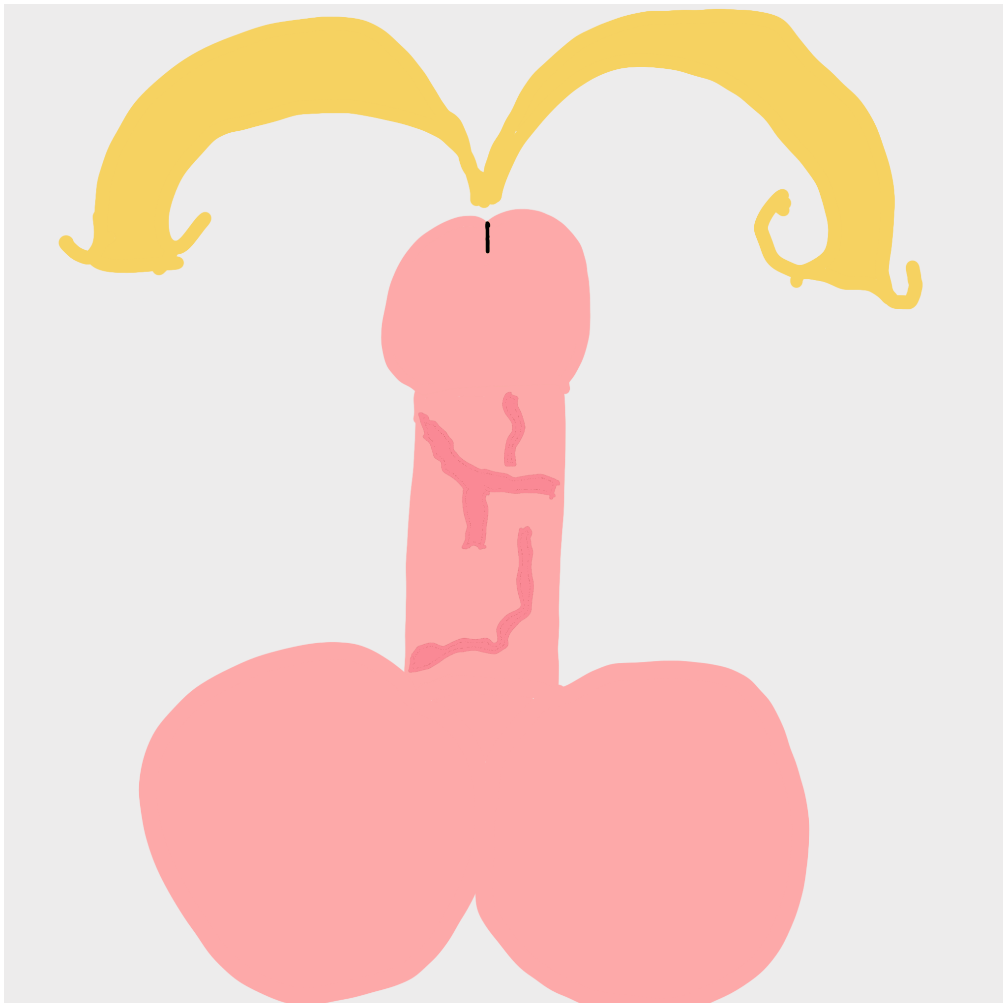 Dickgenerative Art #6 static token preview