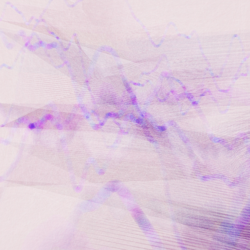 Escapade #8 static token preview