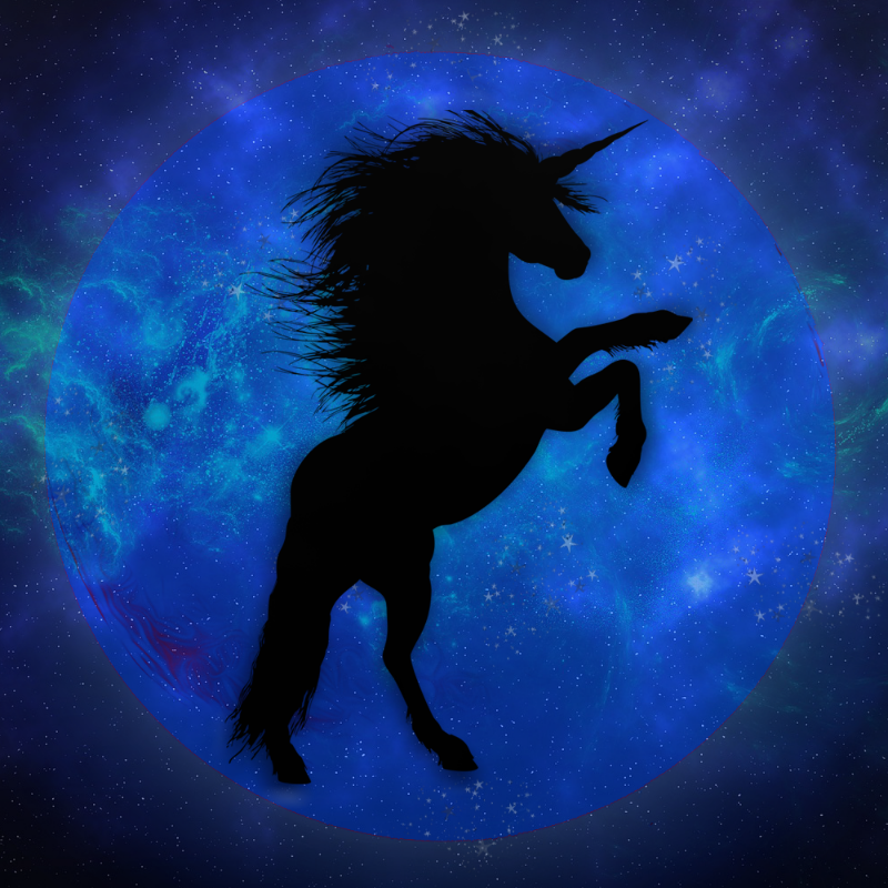 Unicorn #6 static token preview