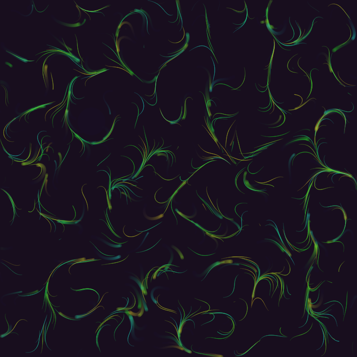 Flow Field #2 static token preview