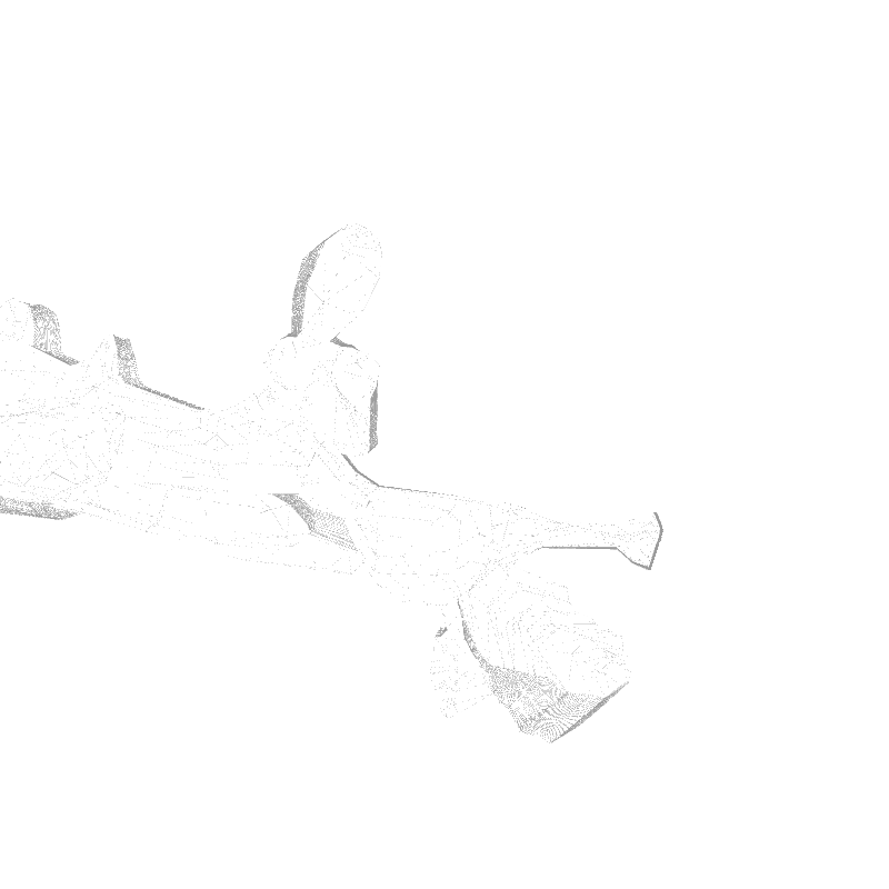 traces #29 static token preview