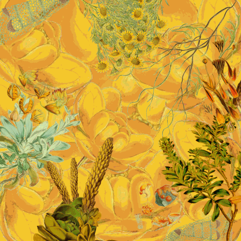 future flora from Antarctica's past #17 static token preview