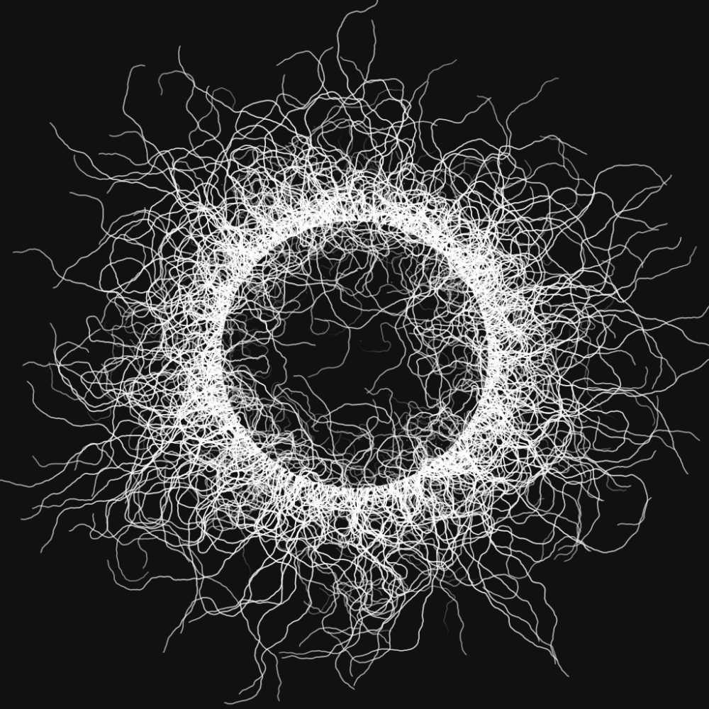 Wormhole #12 static token preview